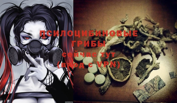 ГАЛЛЮЦИНОГЕННЫЕ ГРИБЫ Абдулино