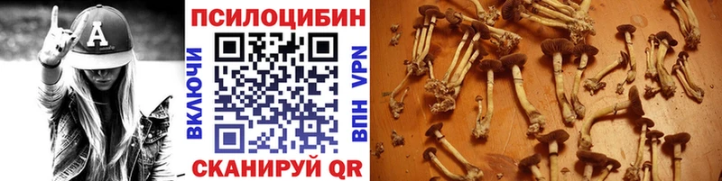 Псилоцибиновые грибы мухоморы Новая Усмань