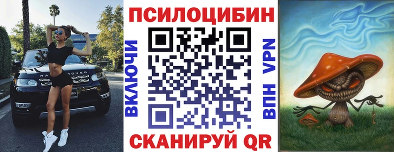 Псилоцибиновые грибы мухоморы  дарнет шоп  Новая Усмань 