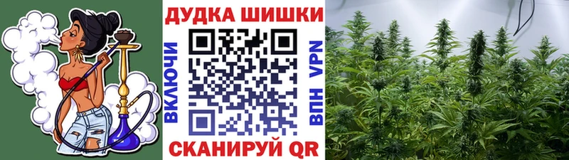 Марихуана Bruce Banner  Новая Усмань 